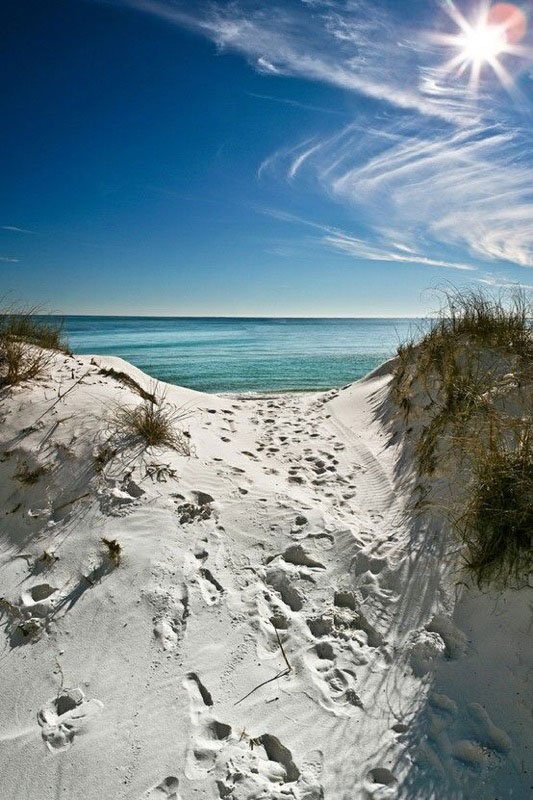 Dune Footprints