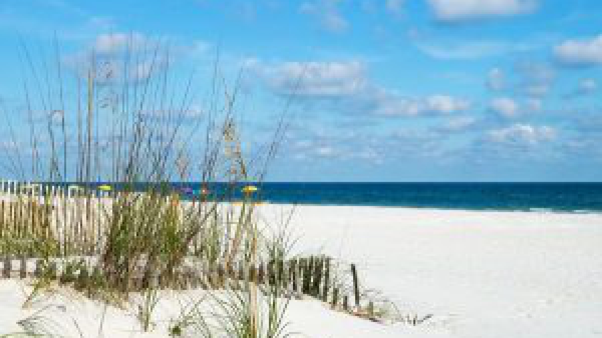 Orange Beach Young S Suncoast Realty Vacation Rentals Gulf Shores Al