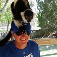 lemur, zoo, alabama gulf coast zoo, gulf shores